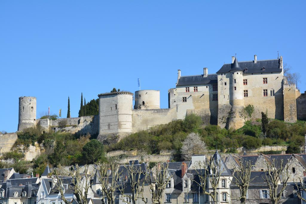 Domaine Du Heron Chinon Bagian luar foto