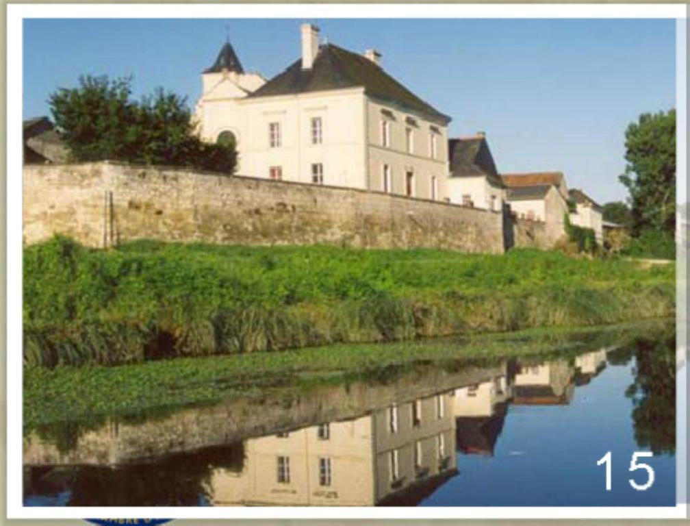 Domaine Du Heron Chinon Bagian luar foto