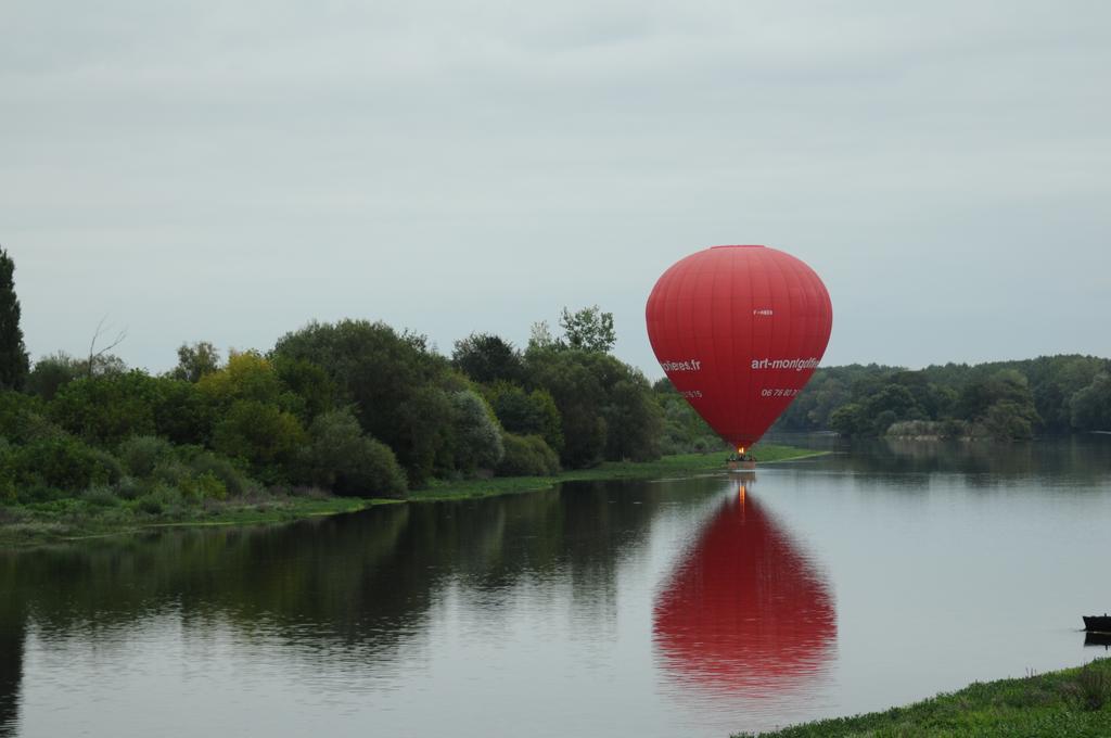 Domaine Du Heron Chinon Bagian luar foto