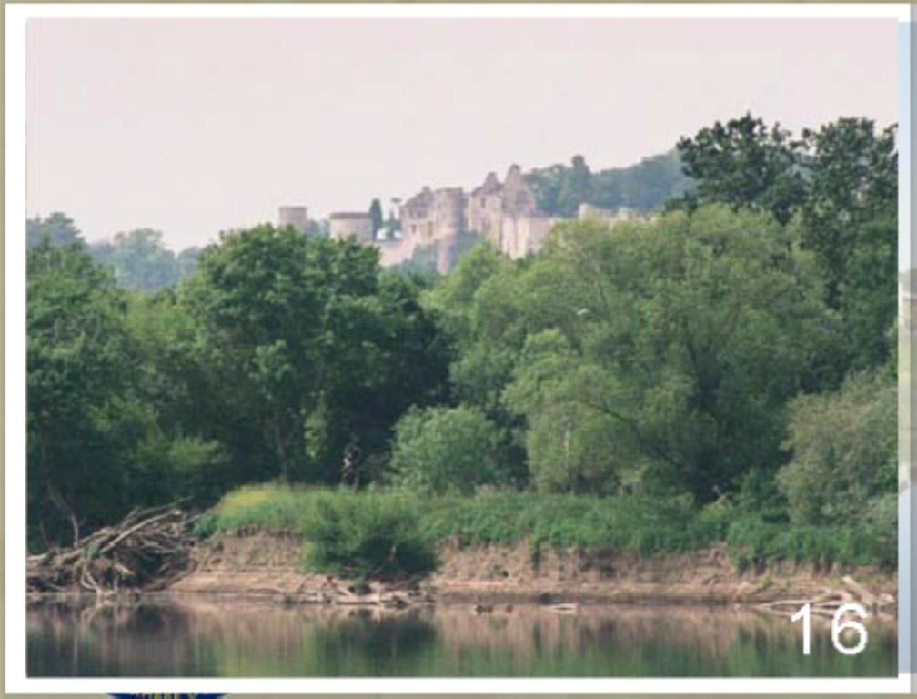 Domaine Du Heron Chinon Bagian luar foto
