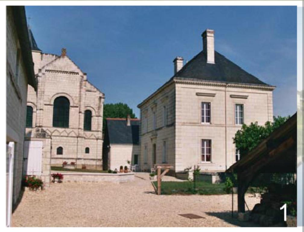 Domaine Du Heron Chinon Bagian luar foto