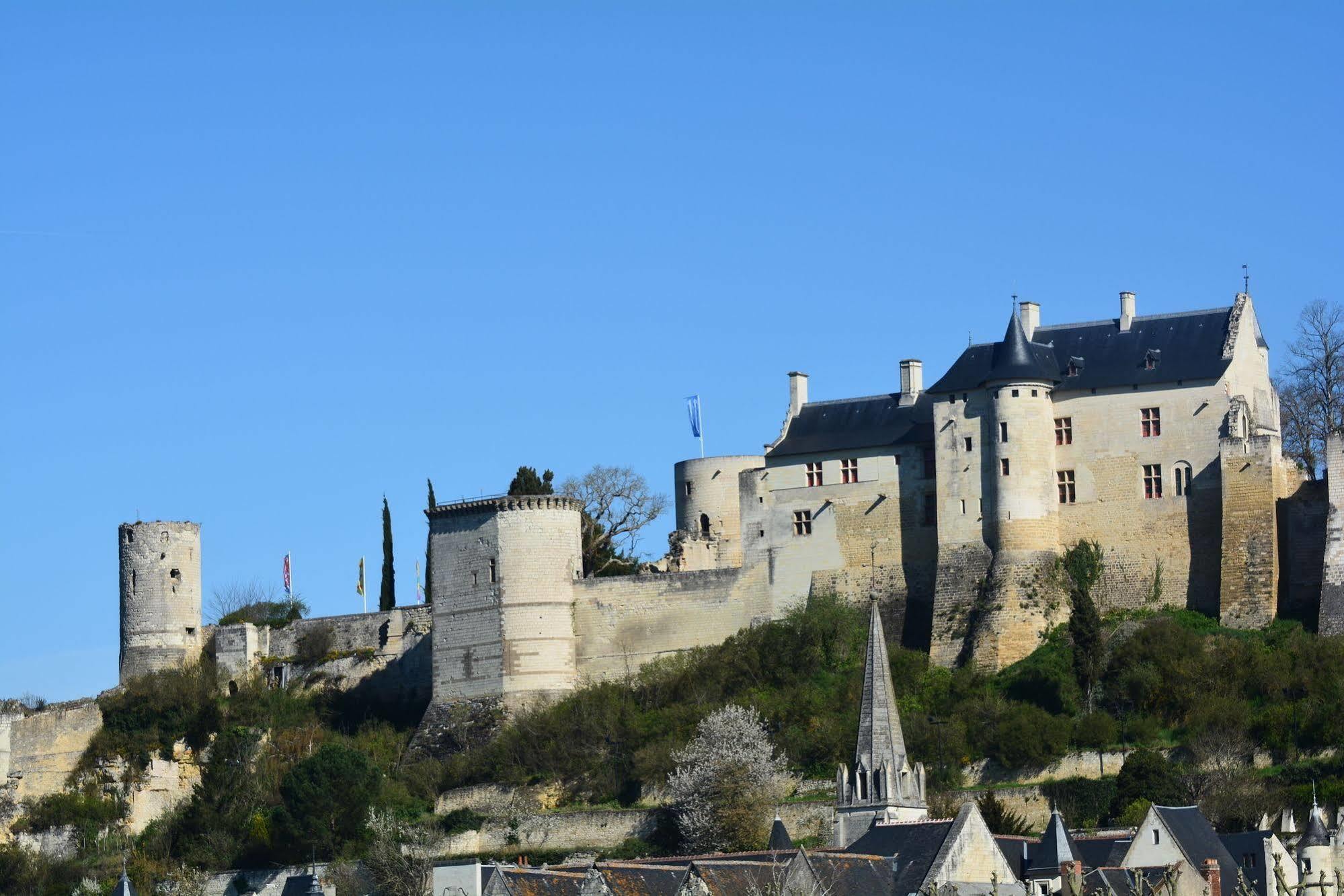 Domaine Du Heron Chinon Bagian luar foto