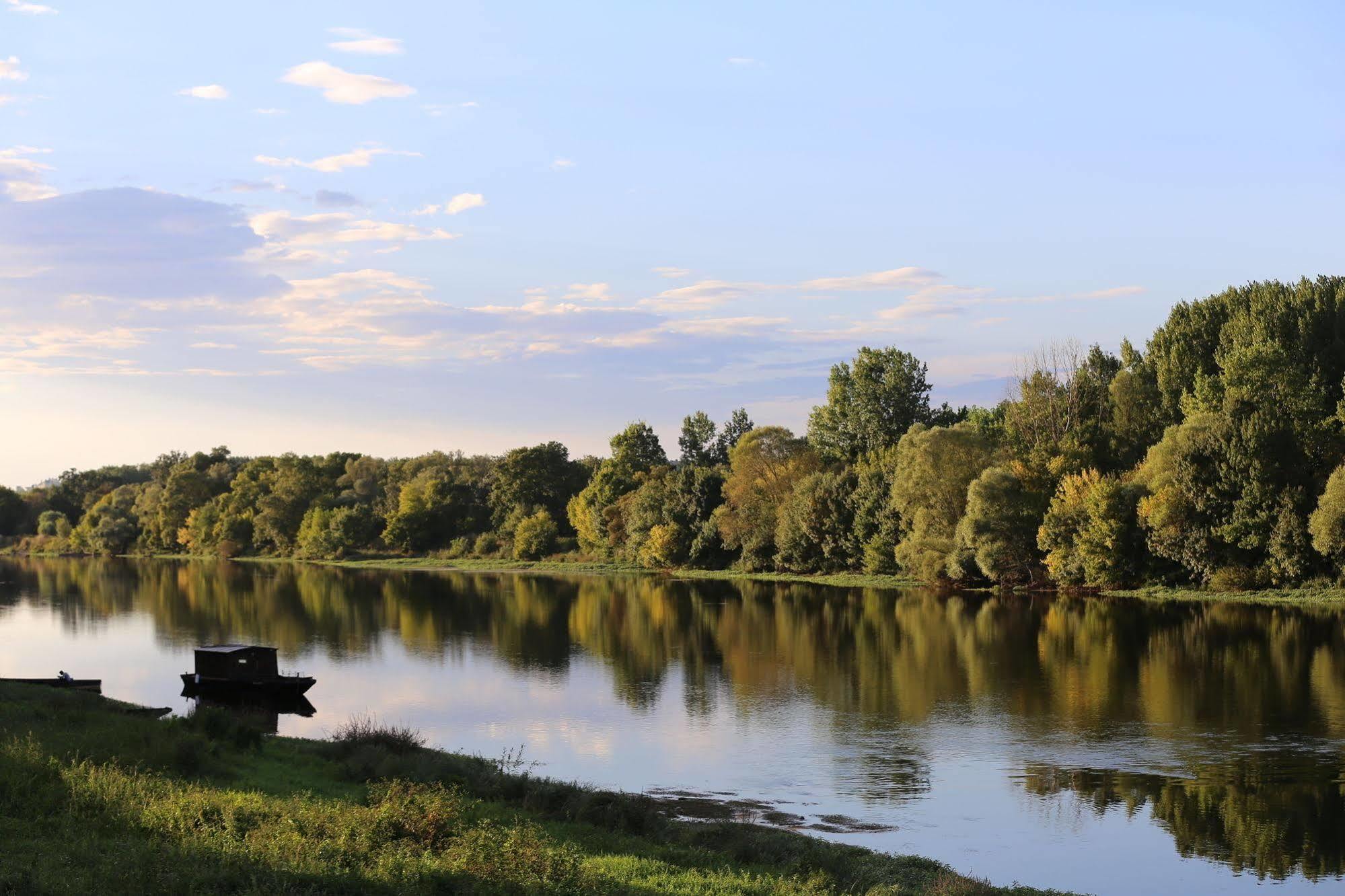 Domaine Du Heron Chinon Bagian luar foto